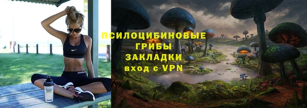 крисы Белоозёрский