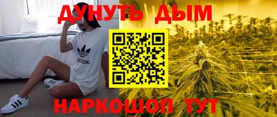 СК Гагарин