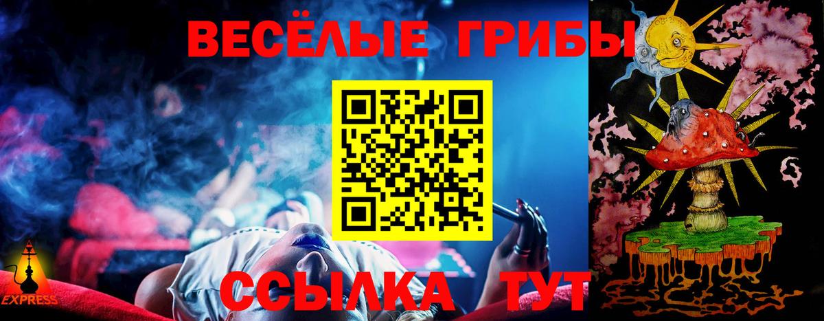 Галлюциногенные грибы Psilocybe  Псилоцибиновые грибы мухоморы  Городец  Вход с VPN 